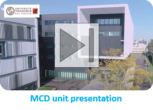 Video presentation MCD